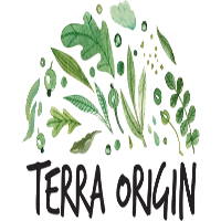 Terra Origin screenshot