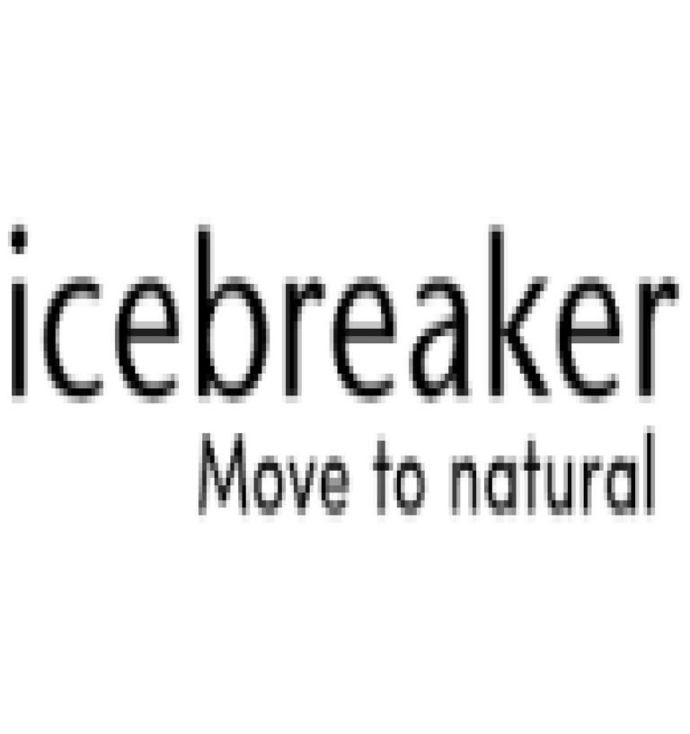 icebreaker NZ screenshot
