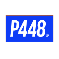 P448 screenshot