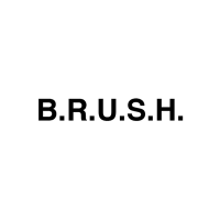 B.R.U.S.H. 30/40 screenshot