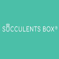 Succulents Box screenshot