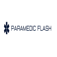 Paramedic Flash screenshot