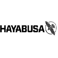 Hayabusa Fight screenshot